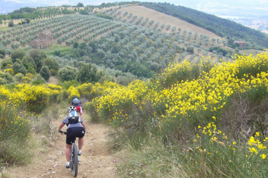 Umbria Trailtouren - fun & sportif - GPS