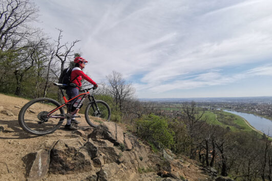 MTB Singletrails am Elbhang in Dresden, Deutschland, mit den Guides von ALPStours entdecken.