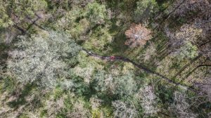 Im Trail Oaradise am Lago Trasimeno führen singeltrails durch unberührte Wälder.