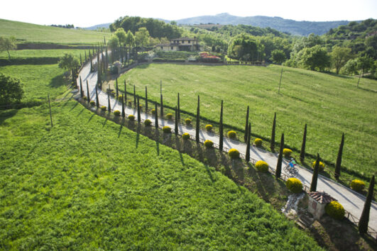 Zypressenallee in Panicale Italien Villa Rey