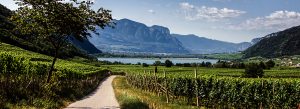 ALPStours Vinschgau